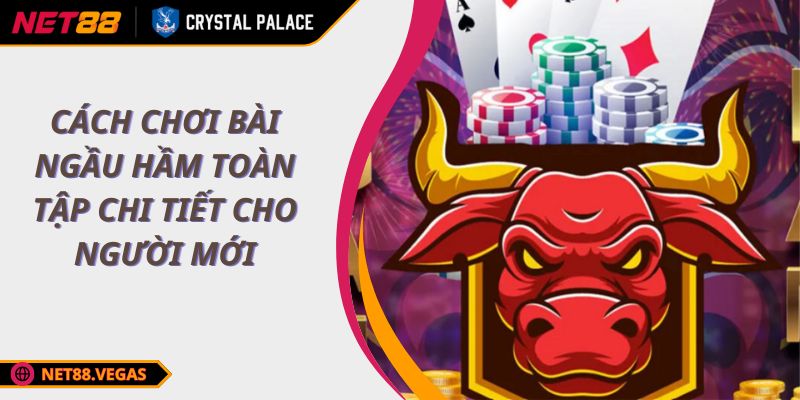 Cách Chơi Bài Ngầu Hầm Toàn Tập Chi Tiết Cho Người Mới 1 Cách Chơi Bài Ngầu Hầm Toàn Tập Chi Tiết Cho Người Mới